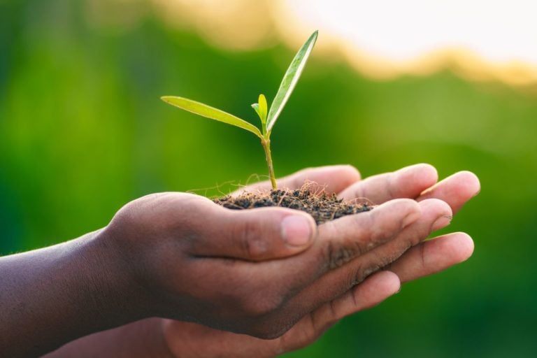 WhatsApp Image 2024-09-08 at 01.27.08.jpeg