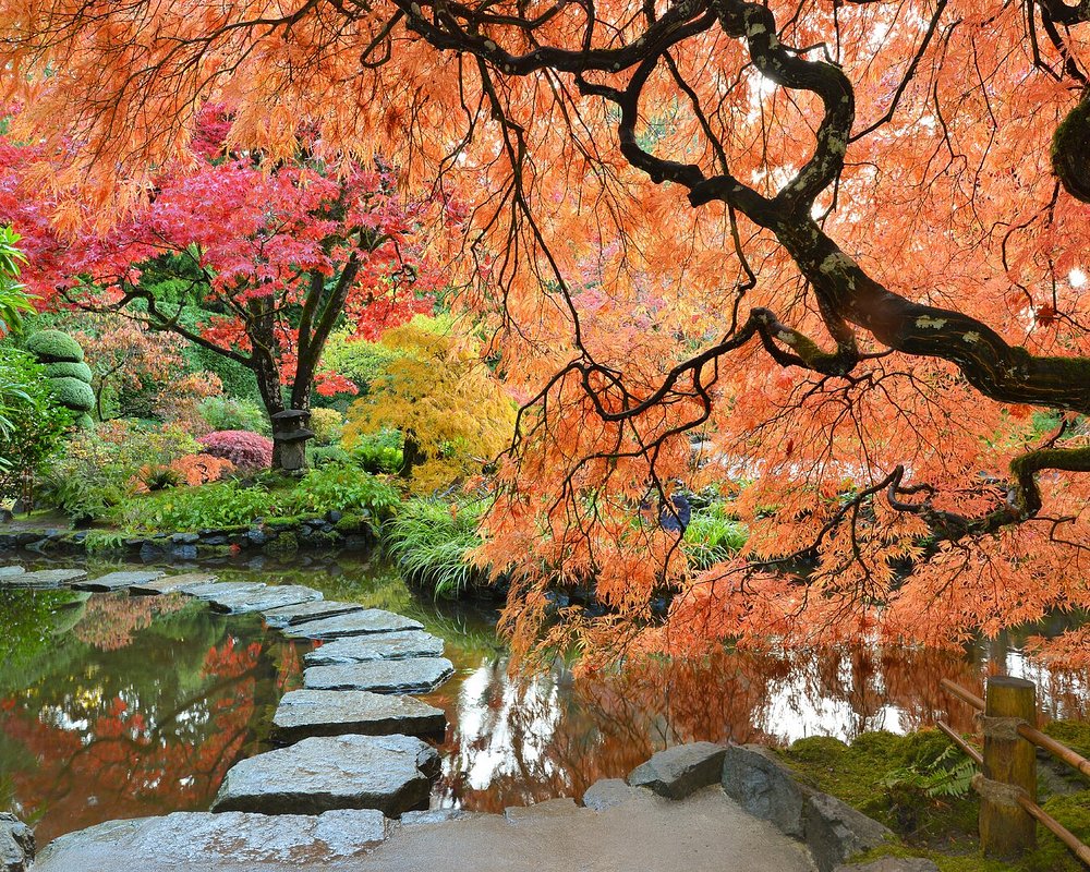 The Butchart Gardens Canadá