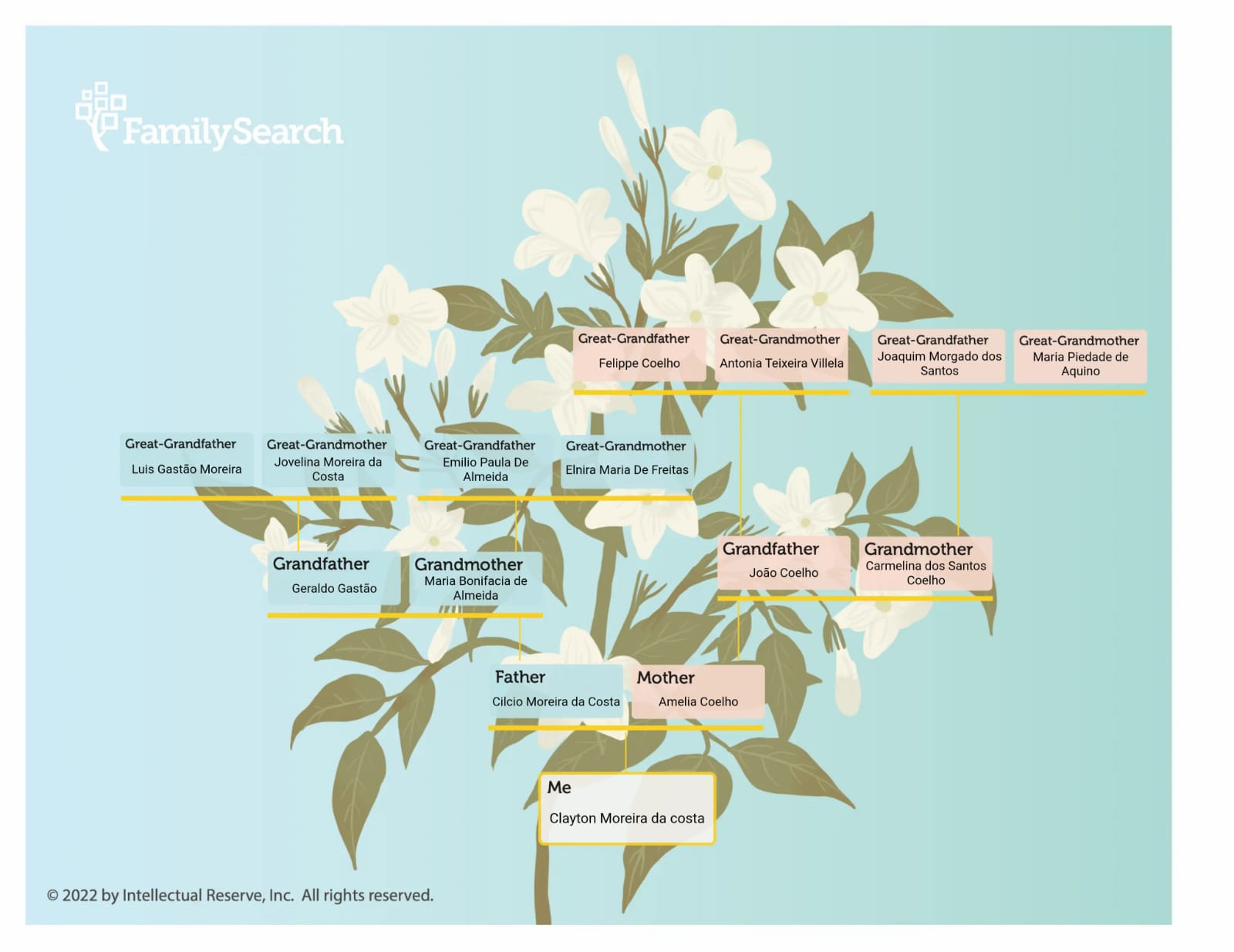 Árvore Genealógica da Família Moreira da Costa