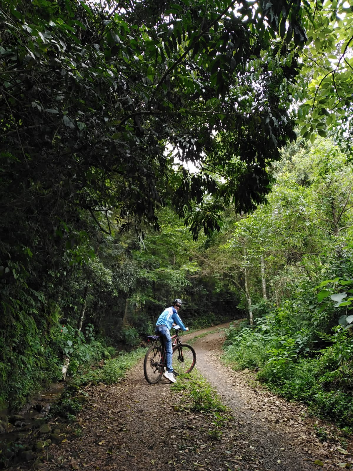 Clayton Moreira da Costa Maravilha Santa Catarina