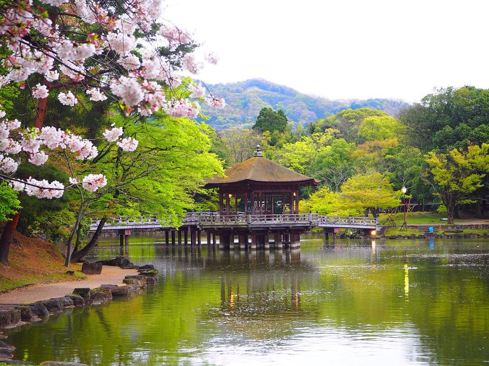 Parque de Nara Japão