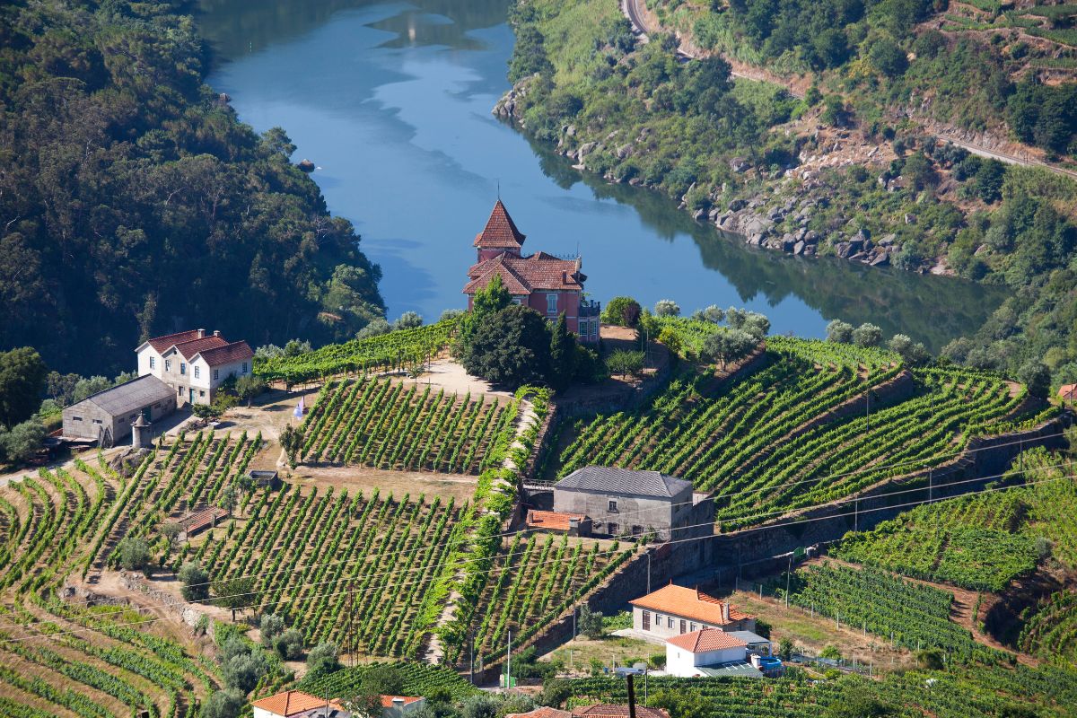 Vale do Douro Portugal