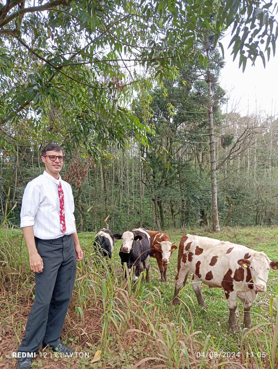 bovinocultura de corte; bovinocultura de leite