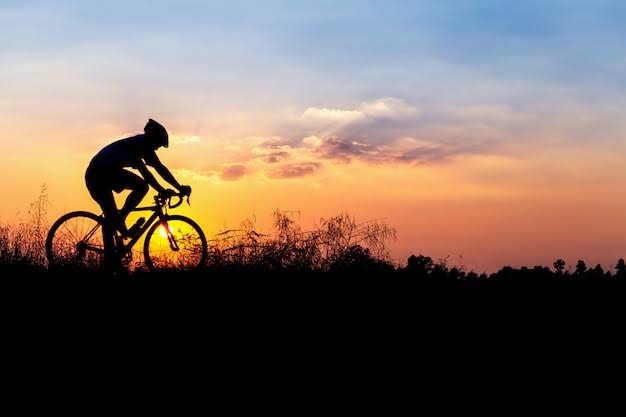 BIKE FULL BICICLETARIA