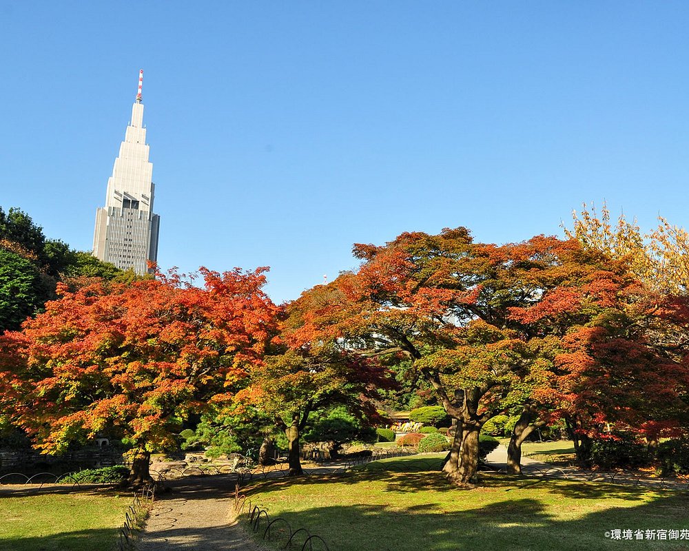 Shinjuku Gyoen National Garden Japão