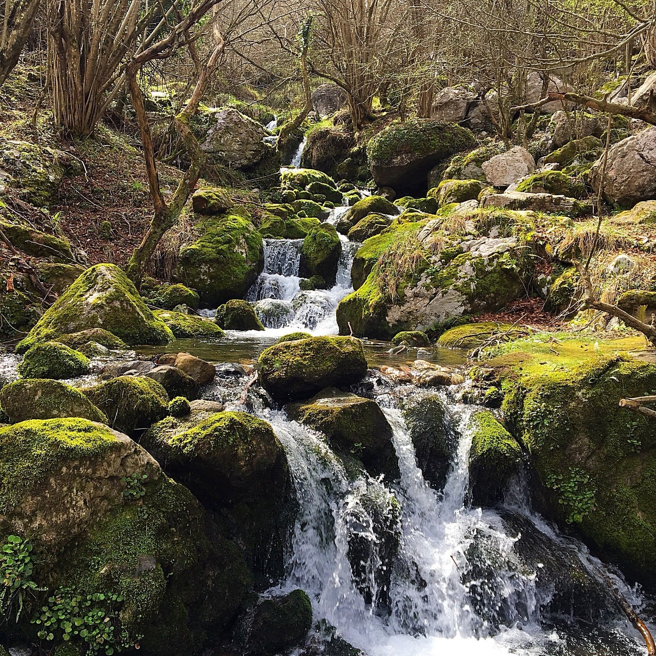 Rio Asón Cantábria Espanha