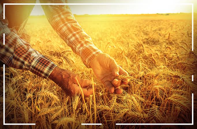 WhatsApp Image 2024-10-12 at 03.04.32.jpeg